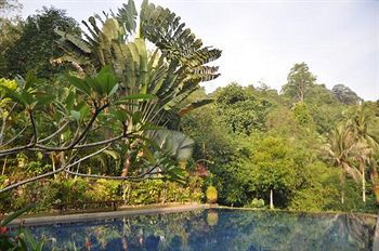 Tiger Rock Otel Pangkor Island Dış mekan fotoğraf
